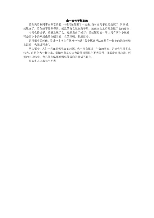随想