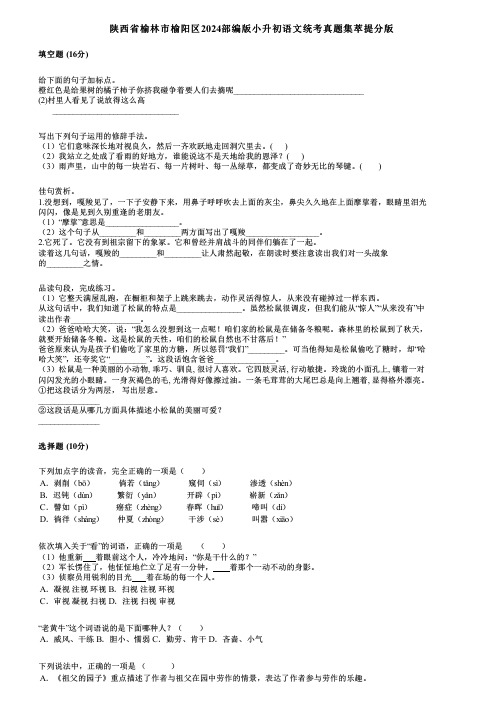 陕西省榆林市榆阳区2024部编版小升初语文统考真题集萃提分版