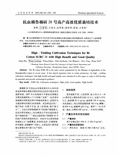 抗虫棉鲁棉研28号高产高效优质栽培技术