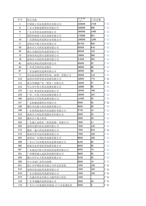 广东连锁公司排名情况
