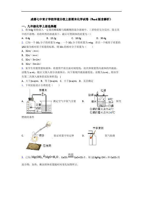 成都七中育才学校学道分校初三化学上册期末化学试卷(Word版含解析)