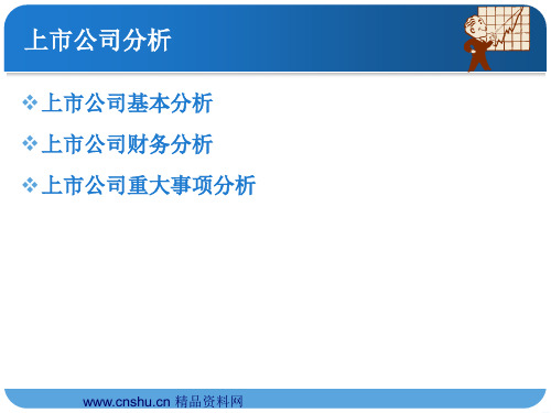 上市公司分析 上市公司基本分析 ppt 