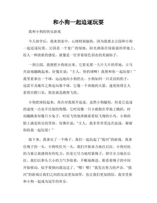 三年级作文那次玩得真高兴之和小狗一起追逐玩耍