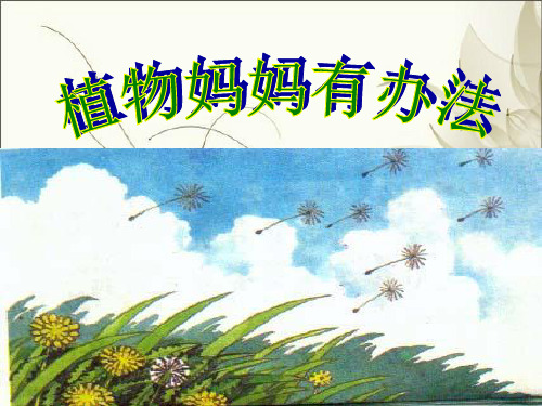 《植物妈妈有办法》课件部编版