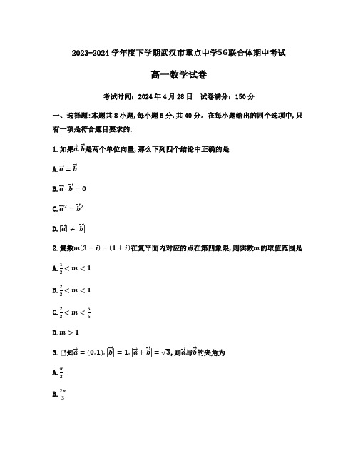 湖北省武汉市5G联合体2023-2024学年高一下学期期中考试数学试题