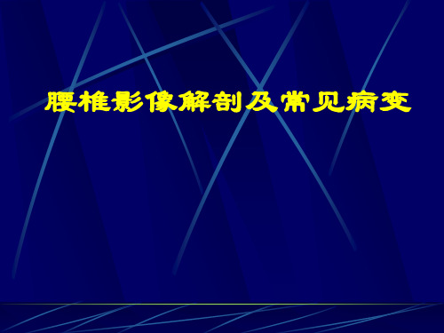 腰椎影像解剖及常见病变(71页)