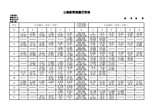 公路断面测量记录表