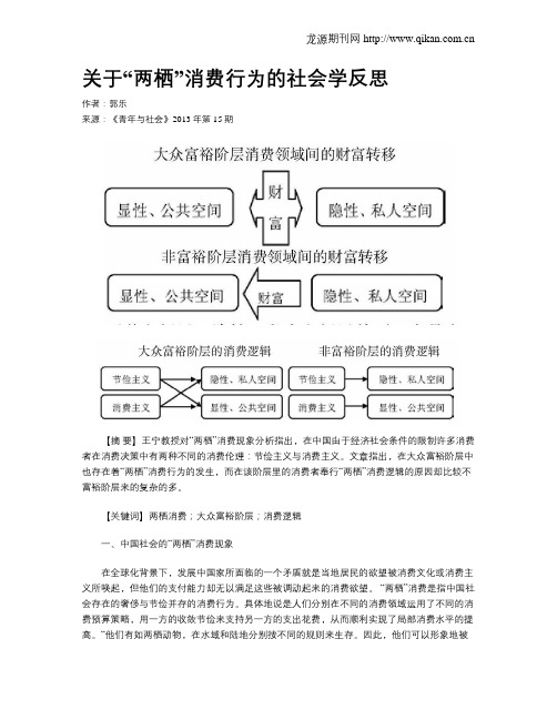 关于“两栖”消费行为的社会学反思