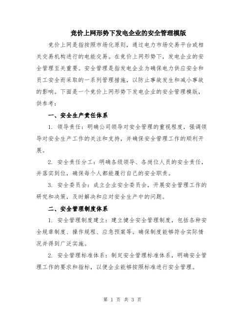 竞价上网形势下发电企业的安全管理模版