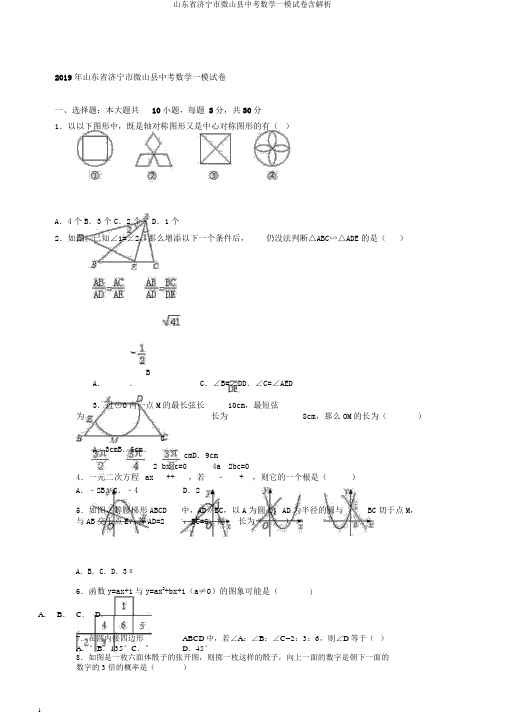 山东省济宁市微山县中考数学一模试卷含解析