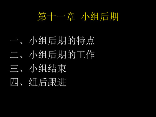 小组工作第11、12章