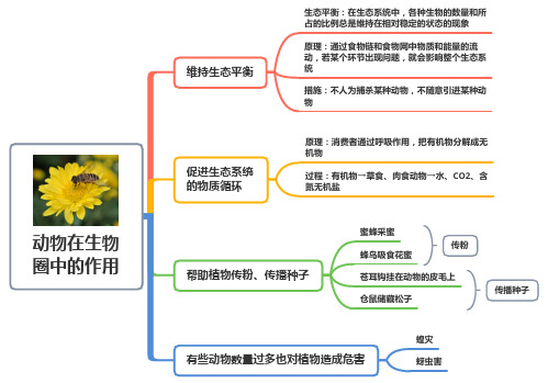 第五单元第三章  动物在生物圈中的作用——八年级上册生物人教版思维导图