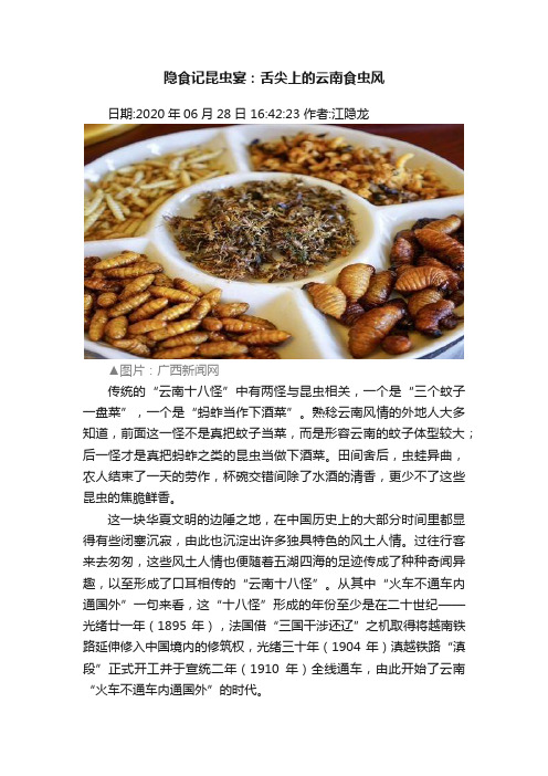 隐食记昆虫宴：舌尖上的云南食虫风