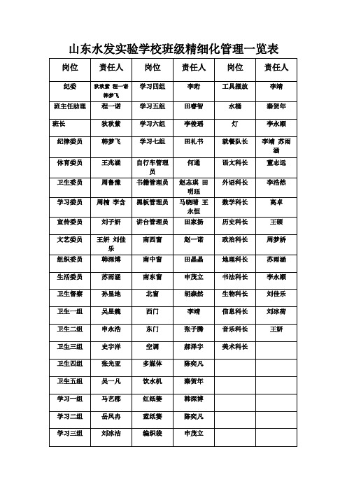 班级精细化管理一览表