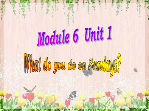 新标准英语Module6_unit1_What_do_you_do_on_Sundays？