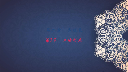 八年级物理上册第二章第3节声的利用习题课件(新版)新人教版