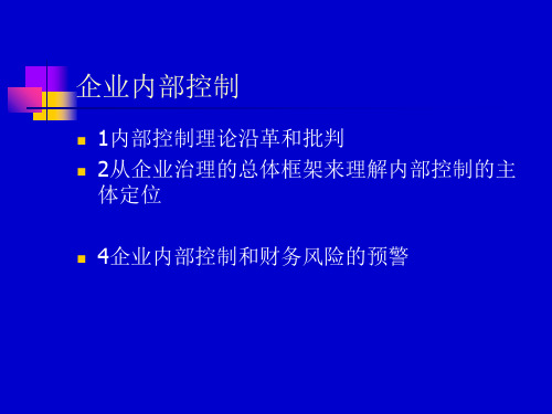 企业集团的内部控制(ppt 166页)