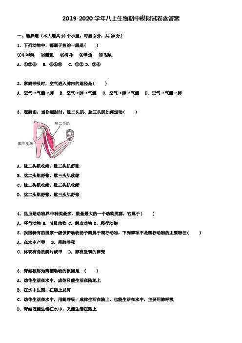 【20套试卷合集】浙江省嘉兴市名校2019-2020学年生物八上期中模拟试卷含答案