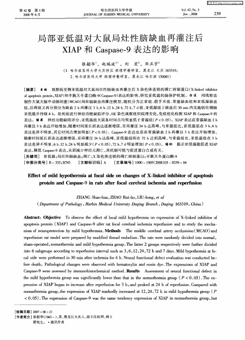 局部亚低温对大鼠局灶性脑缺血再灌注后XIAP和Caspase-9表达的影响