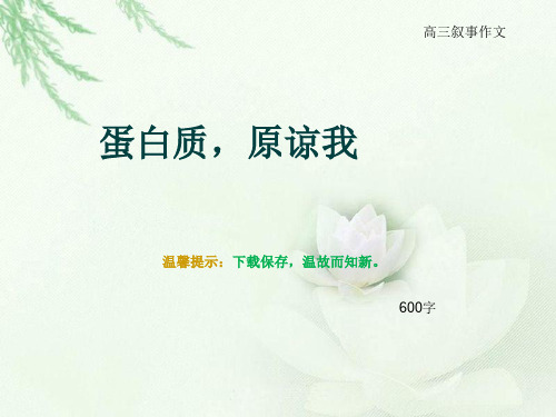 高三叙事作文《蛋白质,原谅我》600字