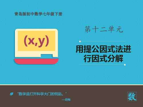 《用提公因式法进行因式分解》数学教学PPT课件(2篇)