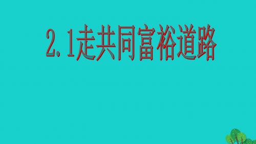 云南省昆明市禄劝县转龙镇中学九年级政治全册 2.1 走共同富裕道路课件