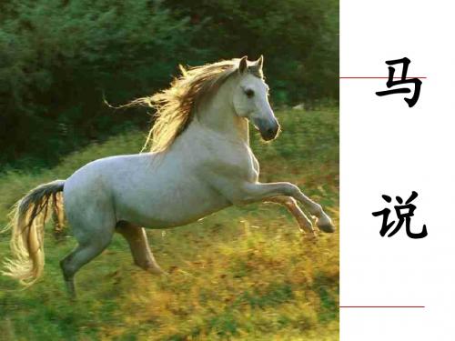 《马说》—志明版