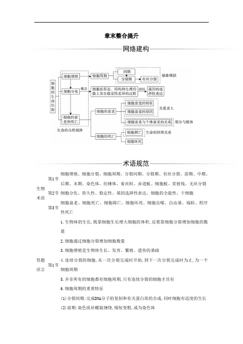 高中生物第6章细胞的生命历程整合提升含解析人教版必修一