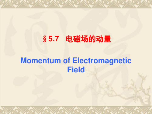 电磁场的动量密度和动量流密度 