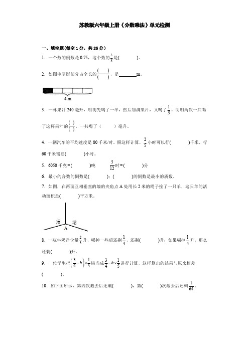 苏教版小学数学六年级上《分数乘法》单元检测【含答案】