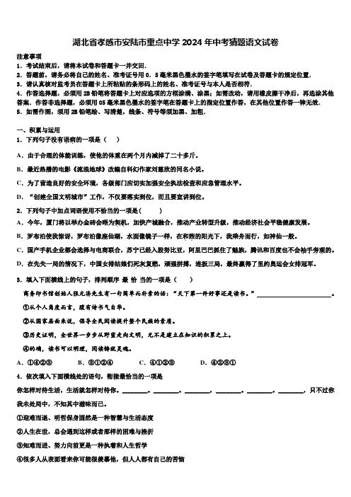 湖北省孝感市安陆市重点中学2024年中考猜题语文试卷含解析