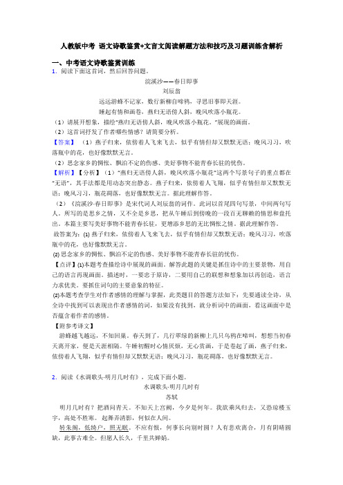 人教版中考 语文诗歌鉴赏+文言文阅读解题方法和技巧及习题训练含解析