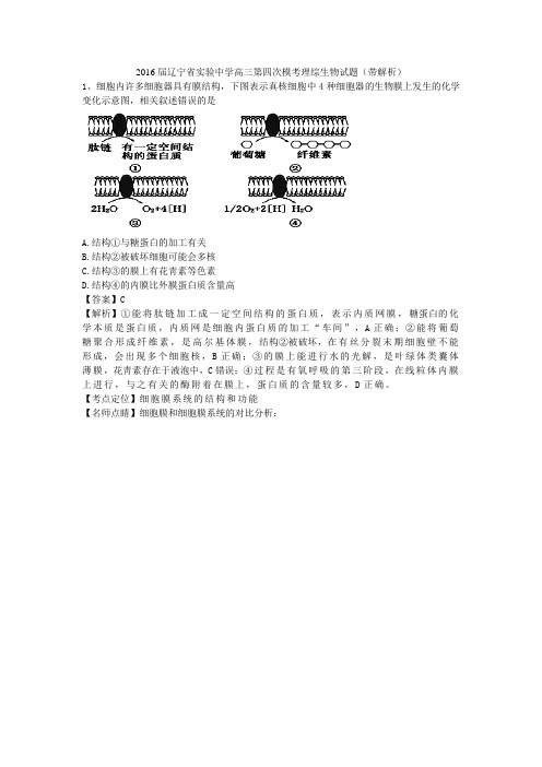 2016届辽宁省实验中学高三第四次模考理综生物试题(带解析)