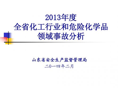 2013年事故分析