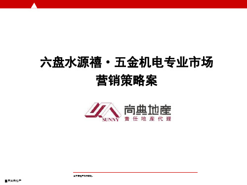 2011年六盘水源禧·五金机电专业市场营销策略案