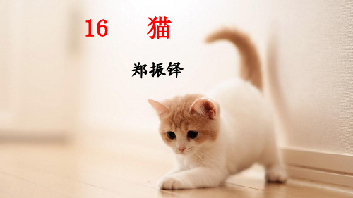 第17课《猫》课件-2024-2025学年统编版语文七年级上册(2024) (5)