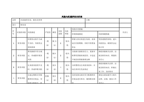 财务-风险与机遇评估分析表