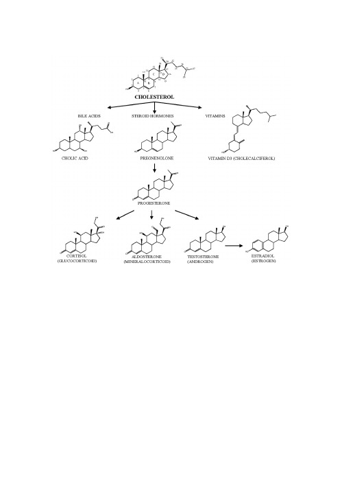 胆固醇代谢过程
