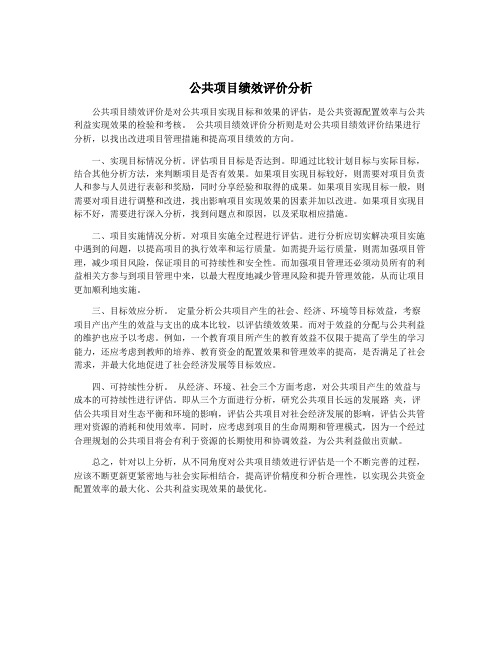 公共项目绩效评价分析