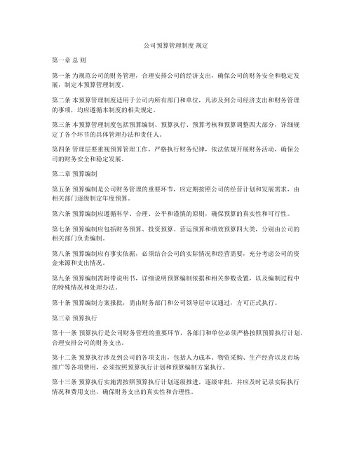 公司预算管理制度 规定