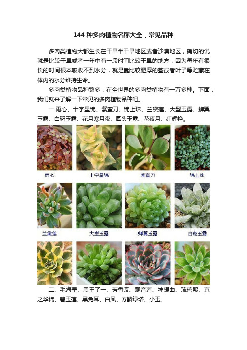 144种多肉植物名称大全，常见品种