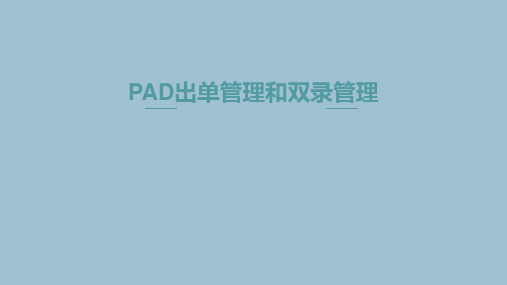 保险公司PAD出单与双录