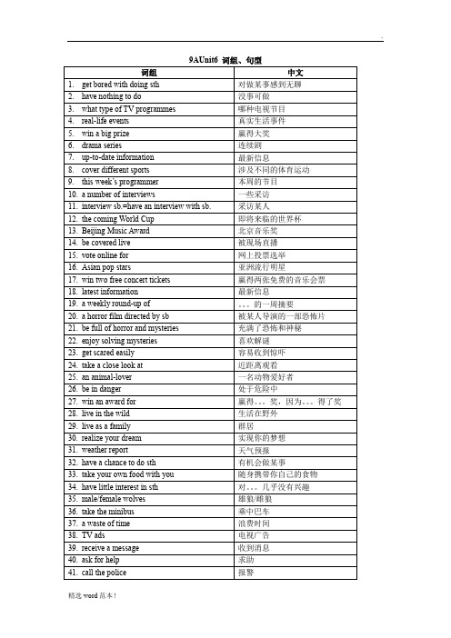 牛津译林版9上U6必背