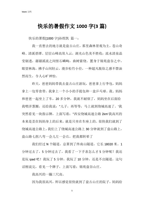 快乐的暑假作文1000字(3篇)