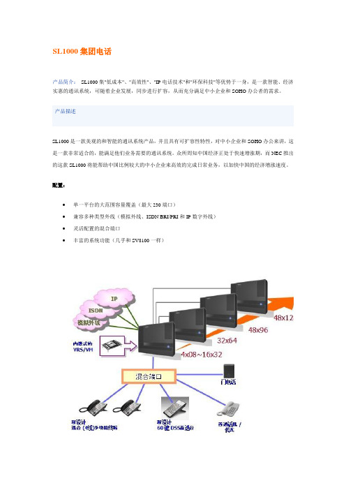 NEC SL1000交换机简介