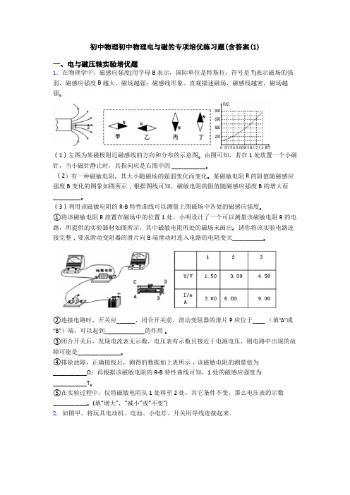 初中物理初中物理电与磁的专项培优练习题(含答案(1)