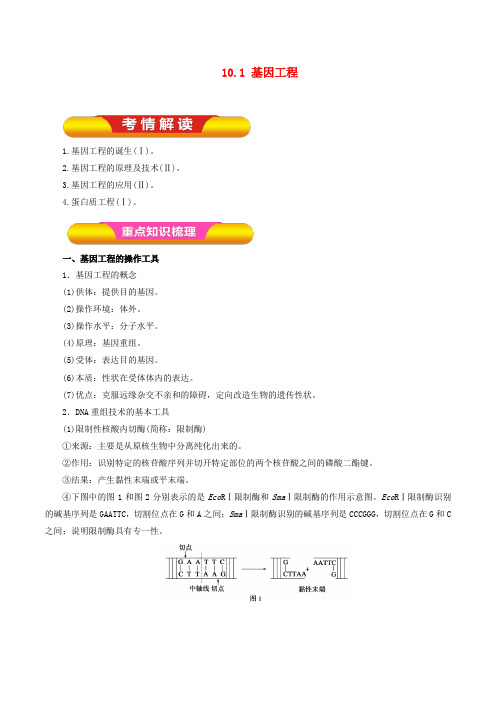 高考生物一轮复习专题10.1基因工程教学案(含解析)