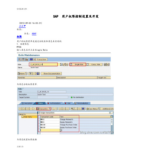 SAP用户权限控制设置及开发