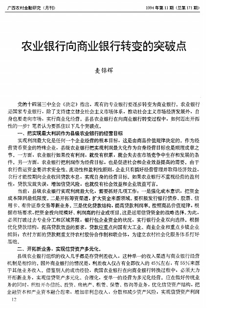 农业银行向商业银行转变的突破点