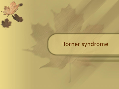 horner 综合征